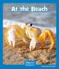 Cover image of At the beach