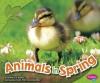 Cover image of Animals in spring