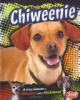 Cover image of Chiweenie