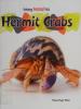 Cover image of Hermit crabs