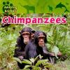 Cover image of Chimpanzees