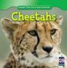 Cover image of Cheetahs