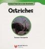 Cover image of Ostriches