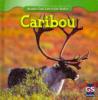 Cover image of Caribou