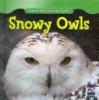 Cover image of Snowy owls