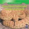 Cover image of Diamondback rattlesnake = Cascabel diamantada