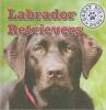 Cover image of Labrador retrievers