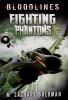 Cover image of Fighting phantoms