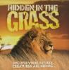 Cover image of Hidden in the grass