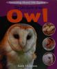 Cover image of The life cycle of an owl