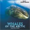 Cover image of Whales of the Arctic