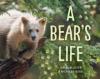 Cover image of A bear's life