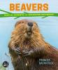 Cover image of Beavers