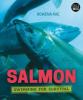 Cover image of Salmon