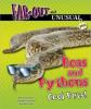 Cover image of Boas and pythons