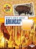 Cover image of What's great about Arkansas?