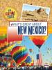 Cover image of What's great about New Mexico?