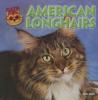 Cover image of American longhairs