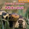 Cover image of Amazing snakes of the Midwest