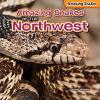 Cover image of Amazing snakes of the Northwest