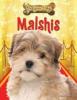 Cover image of Malshis