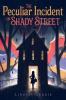 Cover image of The peculiar incident on Shady Street