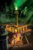 Cover image of The gauntlet