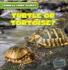 Cover image of Turtle or tortoise?
