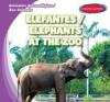 Cover image of Elefantes =