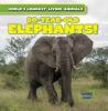 Cover image of 80-year-old elephants!