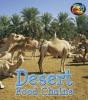 Cover image of Desert food chains