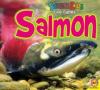 Cover image of Salmon