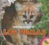 Cover image of Los pumas