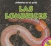 Cover image of Las lombrices