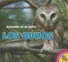 Cover image of Los buhos