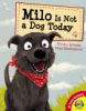 Cover image of Milo is not a dog today