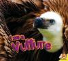 Cover image of I am a vulture