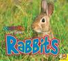 Cover image of Rabbits