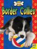 Cover image of Border collies