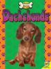 Cover image of Dachshunds