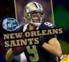 Cover image of New Orleans Saints