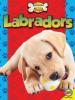 Cover image of Labradors