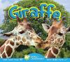 Cover image of Giraffe