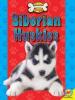 Cover image of Siberian huskies