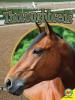 Cover image of Thoroughbreds