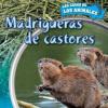 Cover image of Madrigueras de castores