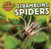 Cover image of Scrambling spiders