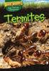 Cover image of Termites