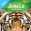 Cover image of Life-size jungle animals