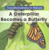 Cover image of A caterpillar becomes a butterfly